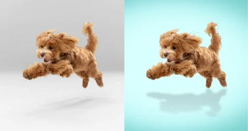 Image Masking Services